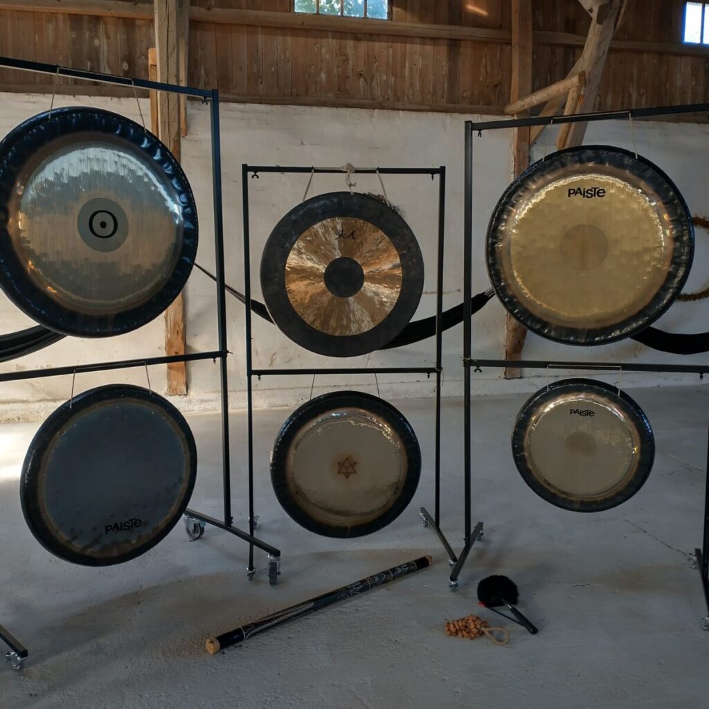6 forskellige gonger